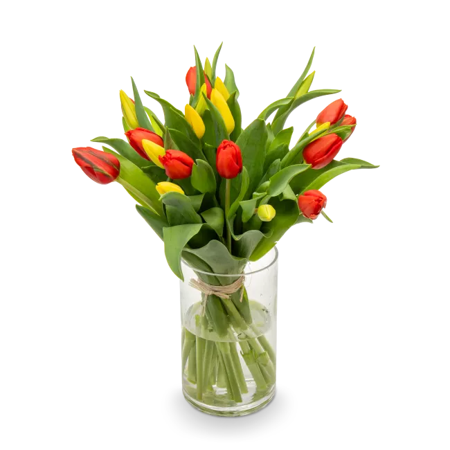 Kytice tulipánů